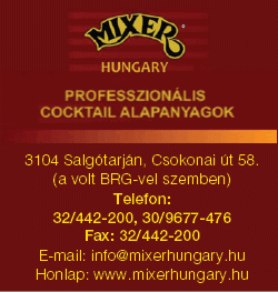   - Mixer Hungary Kft.